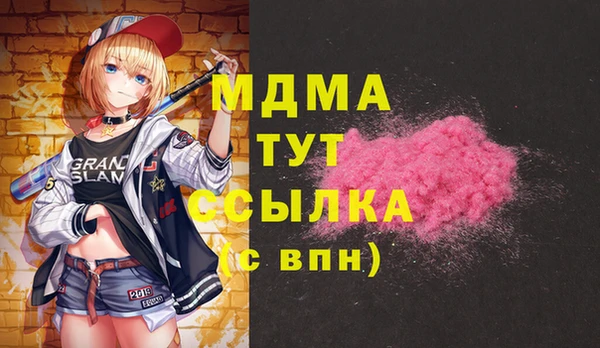 apvp Вяземский
