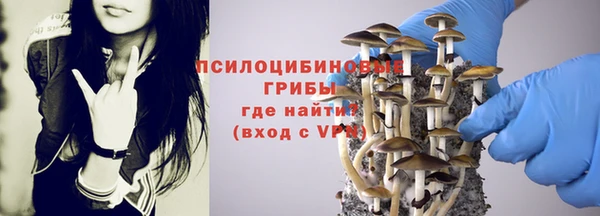 apvp Вяземский