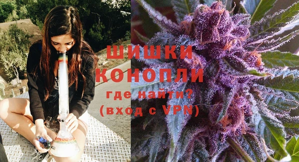 apvp Вяземский