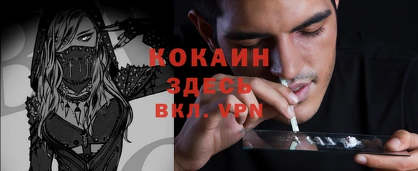 ПСИЛОЦИБИНОВЫЕ ГРИБЫ Вязники