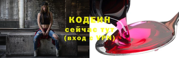 ПСИЛОЦИБИНОВЫЕ ГРИБЫ Вязники