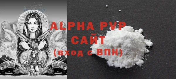 ПСИЛОЦИБИНОВЫЕ ГРИБЫ Вязники